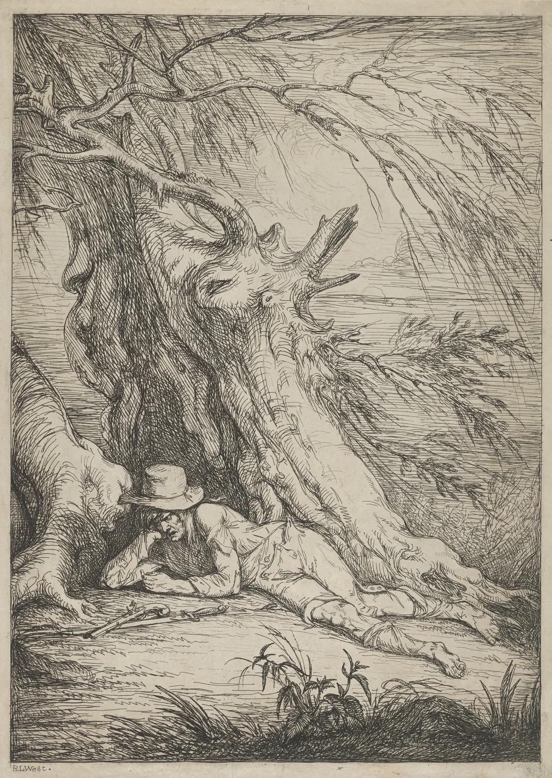 Bandit Beneath a Tree