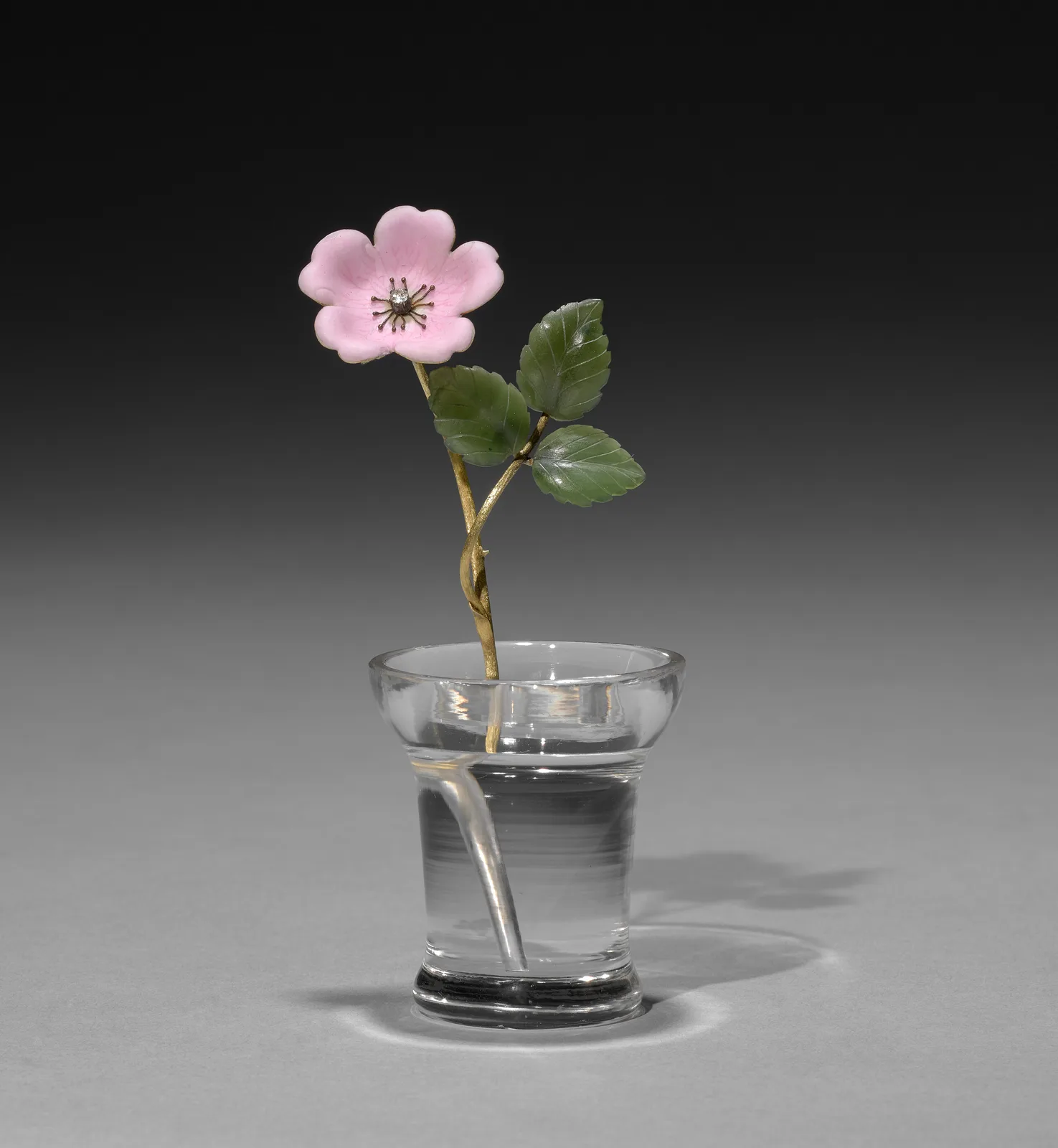 Flower Study of a Wild Rose