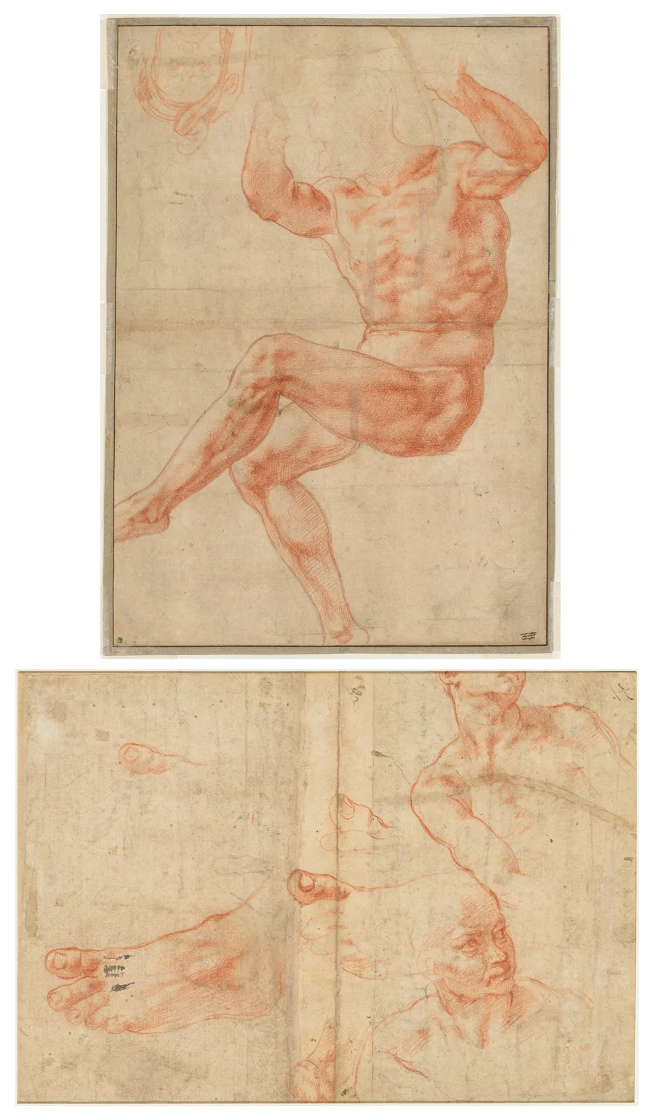 Study for the Nude Youth over the Prophet Daniel (recto); Figure Studies for the Sistine Ceiling (verso)