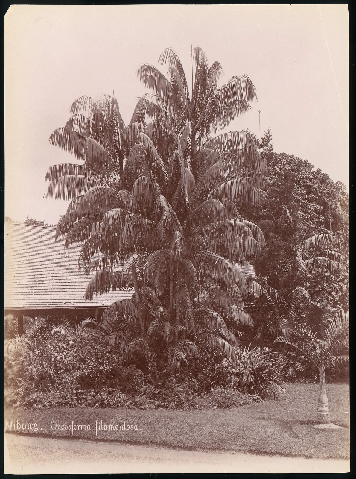 Botanical Garden