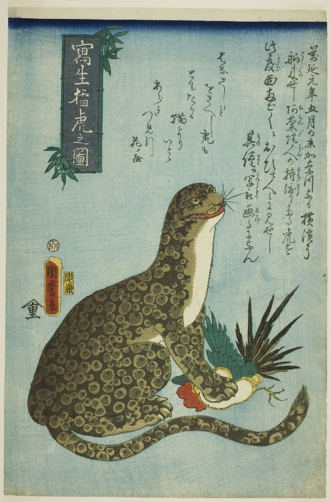 Picture of a Ferocious Tiger Drawn from Life (Shasei moko no zu)