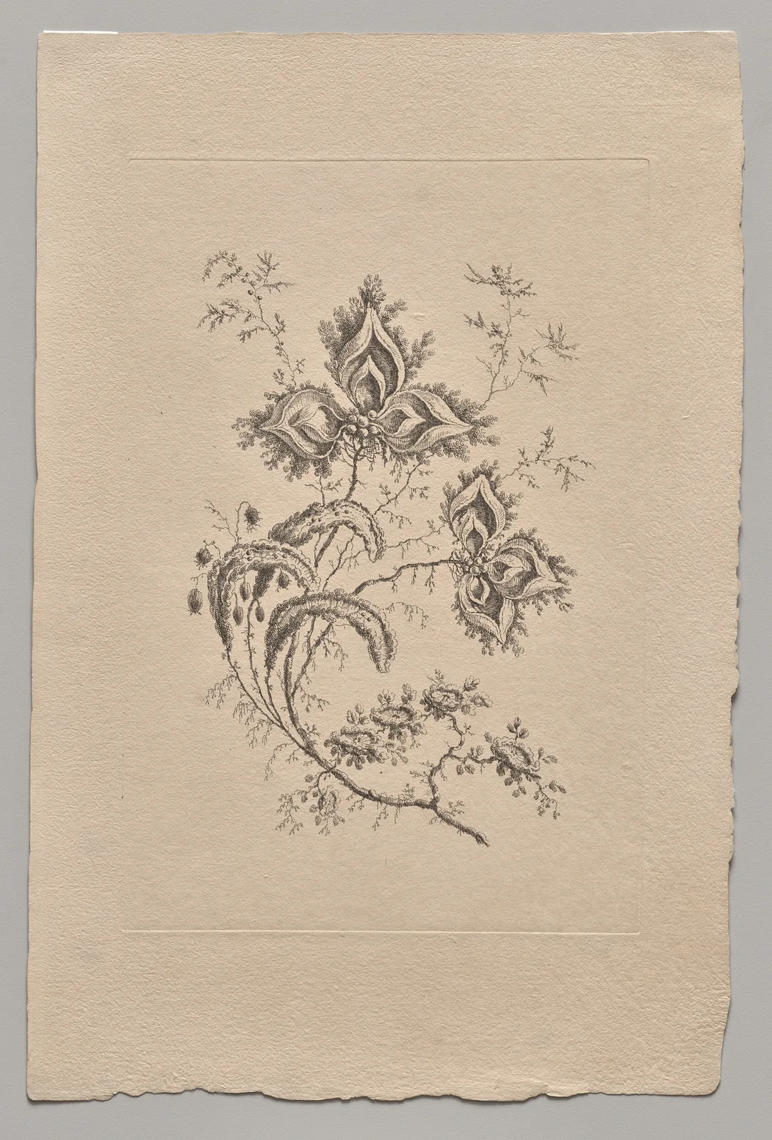 Persian Flowers