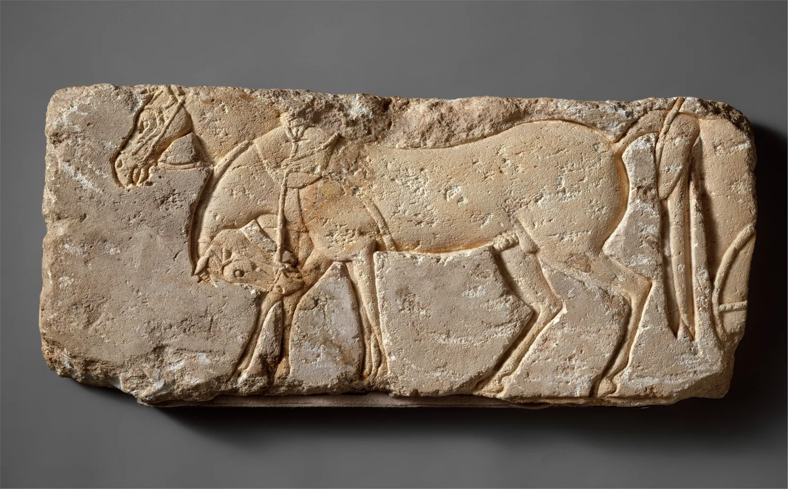 Horses Harnessed to a Chariot