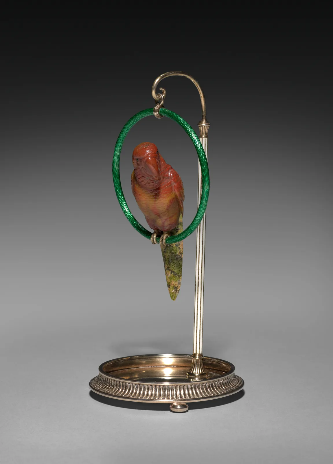 Parrot on a Perch 