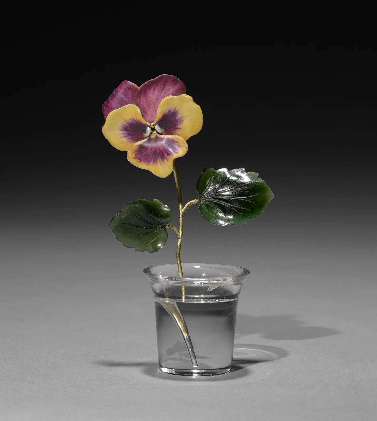 Flower Study of a Pansy