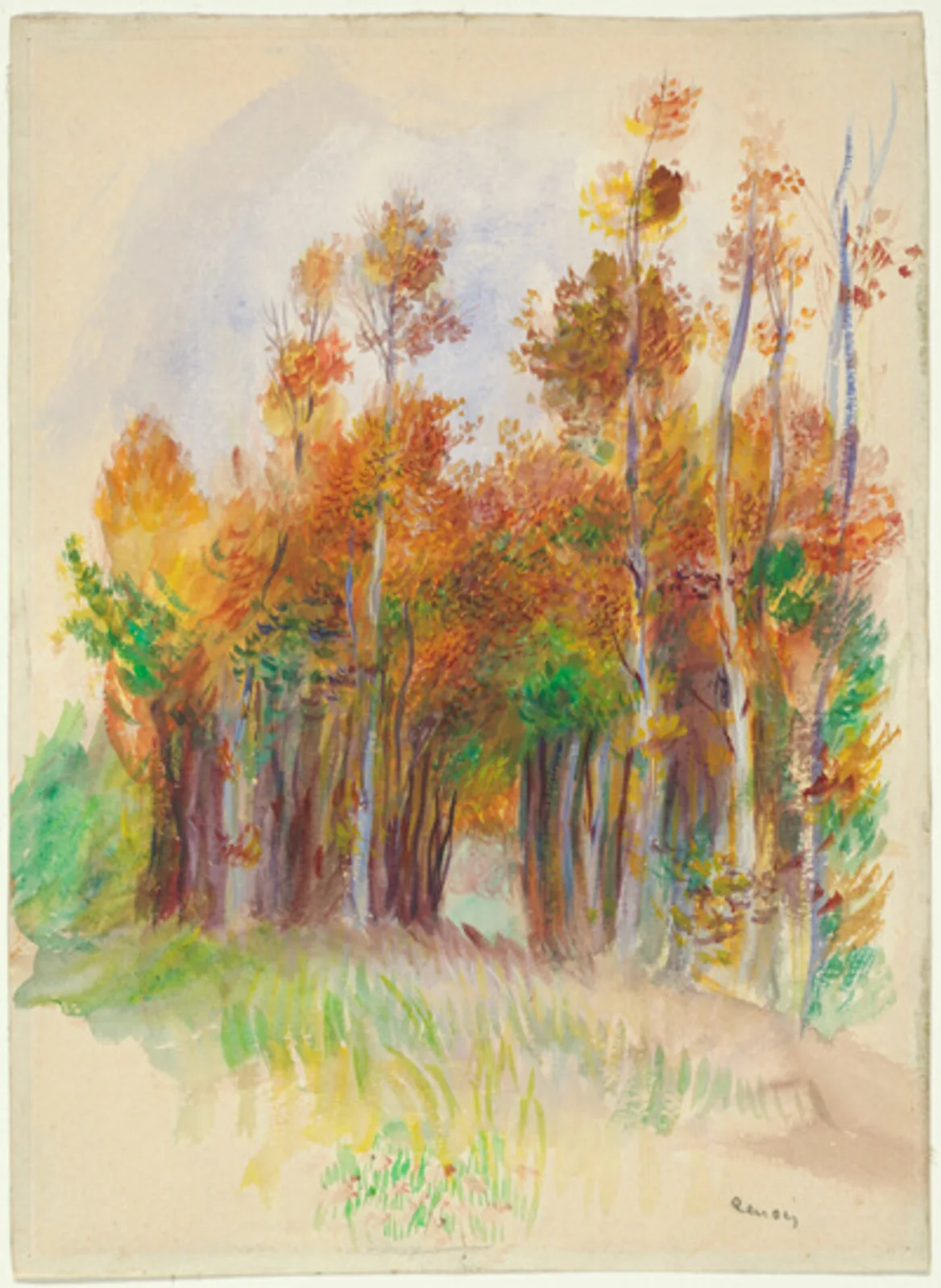Grove of Trees
