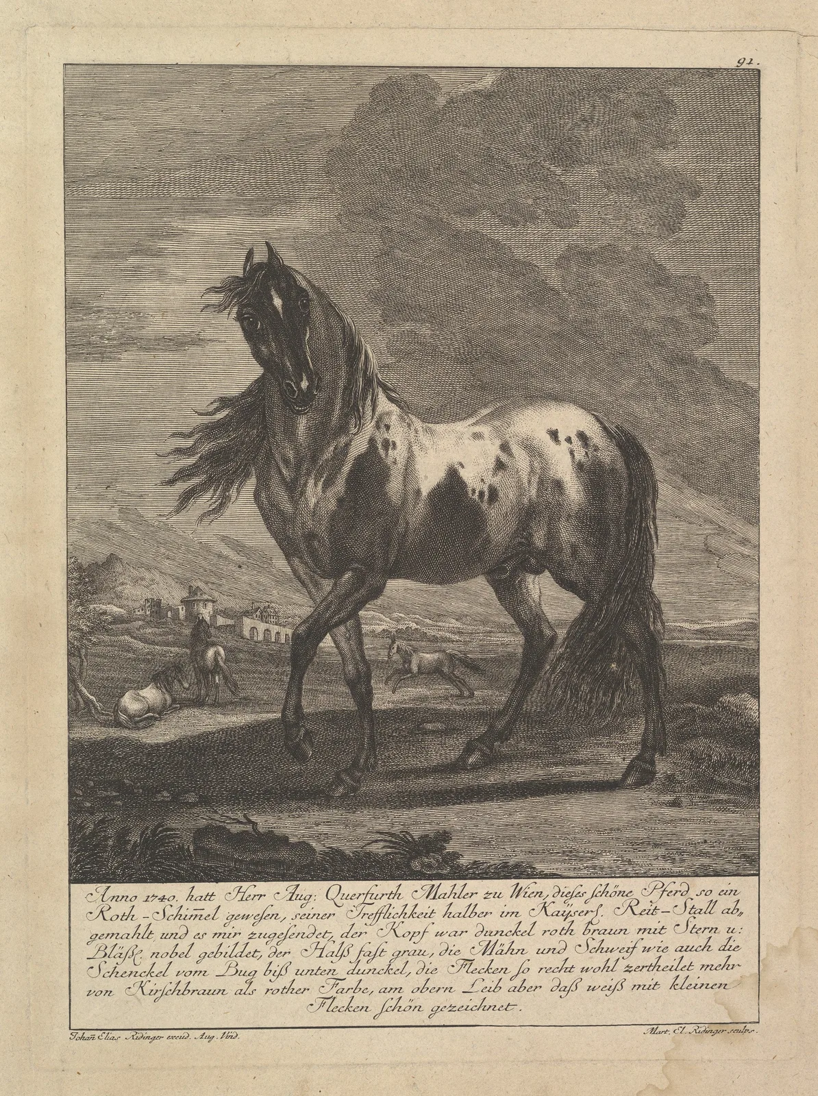 Horse