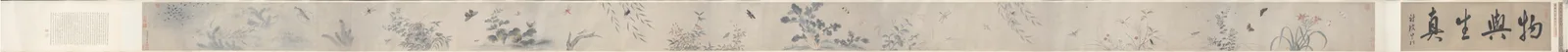 Insects and Flowers