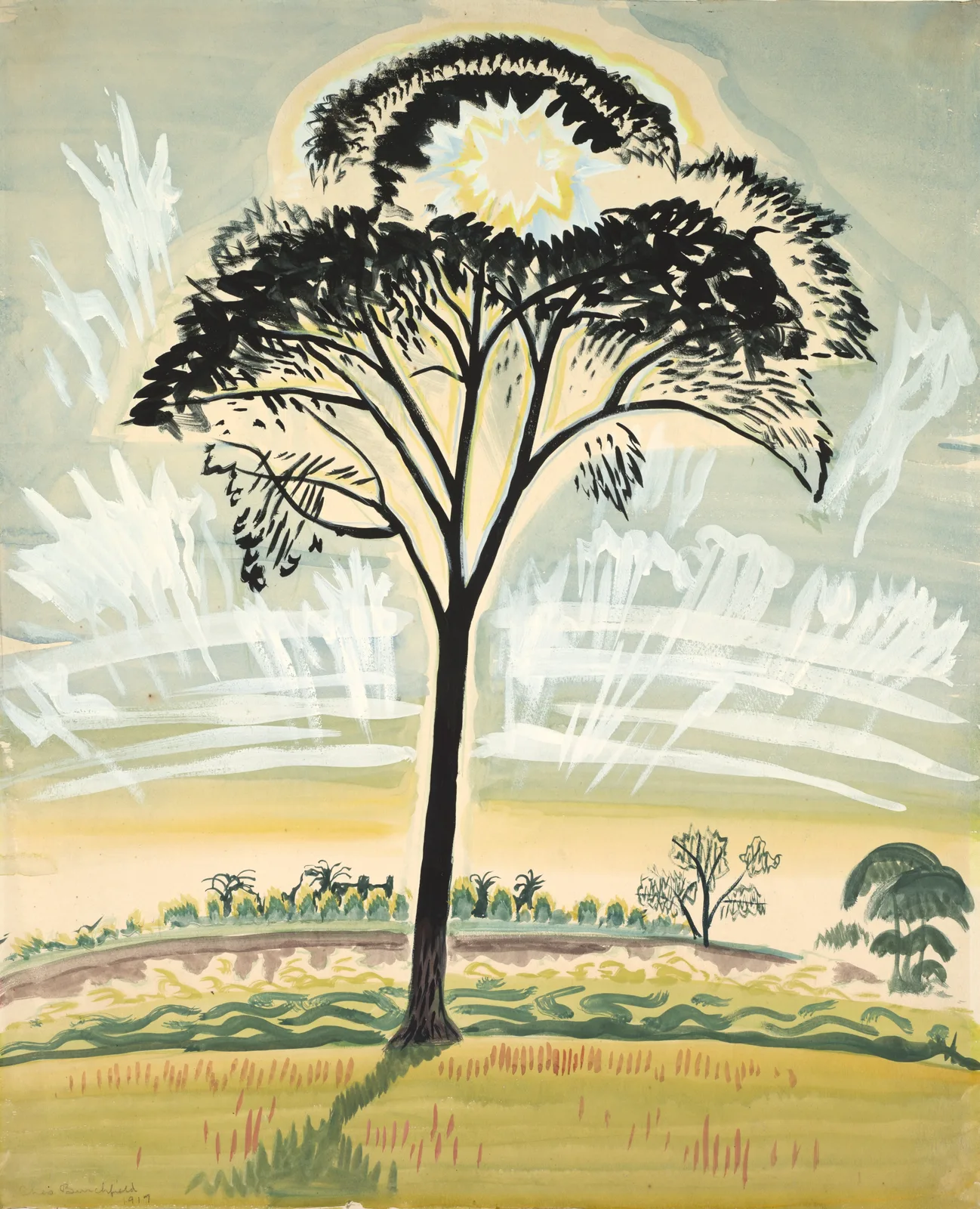 The Sun Through the Trees
