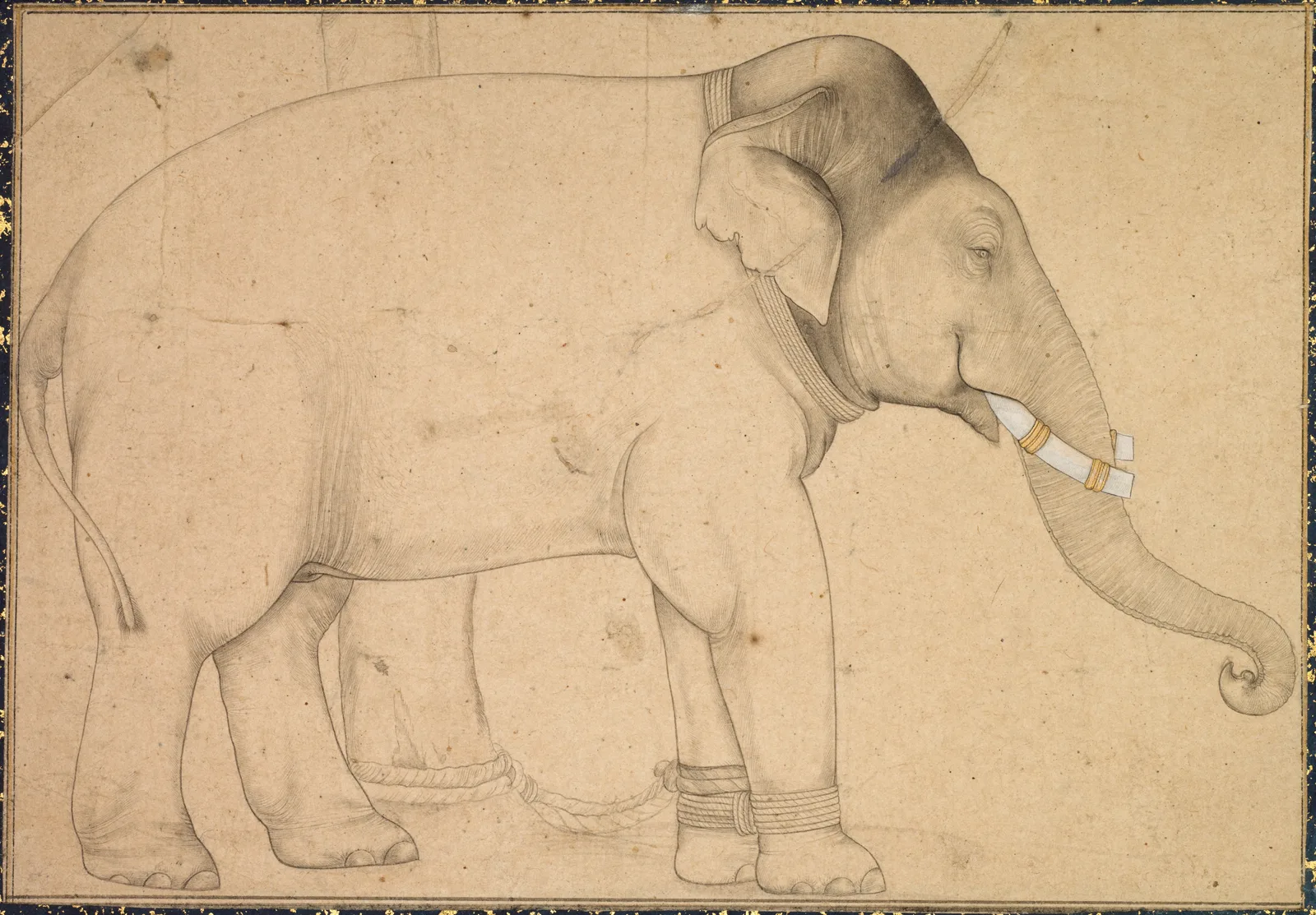 Drawing of an Elephant